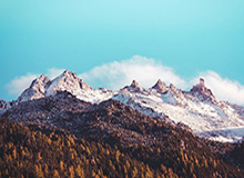 林诗栋4-2逆转黄友政 晋级全运会乒乓球男单八强